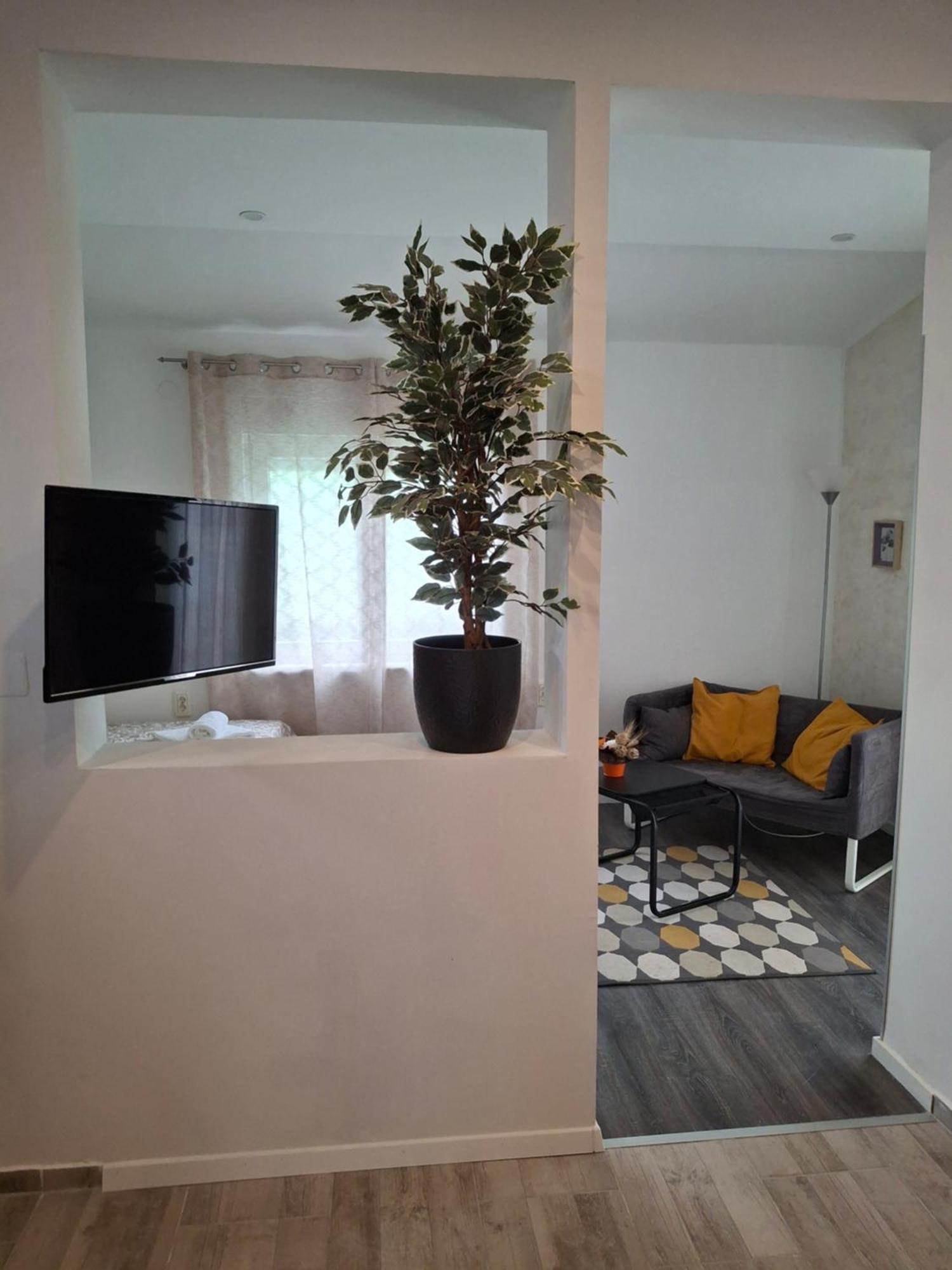 Alma Apartment